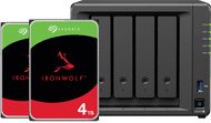 Synology DS925+ + Seagate IronWolf 4TB Doppelpack