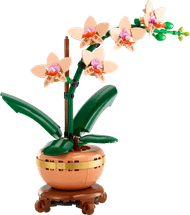 LEGO Botanicals Mini-Orchidee 10343
