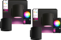 Philips Hue Muscari Wandstrahler Außenbereich Doppelpack