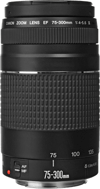 Canon EF 75-300mm f/4.0-5.6 III