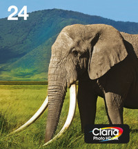 Epson 24 Patronen Multipack