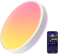 Govee Ceiling Light Pro 15 inches