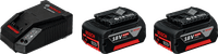 Bosch Professional 18V 5.0Ah GBA Battery (2x) + Fast Charger