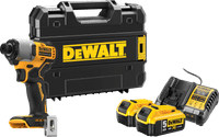DEWALT DCF840NT-XJ 5.0Ah Battery (2x) Starter Pack
