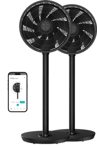 Duux Whisper Flex 2 Doppelpack Schwarz