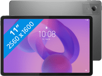 Lenovo Idea Tab 11 Zoll 256GB WLAN Grau mit Stylus