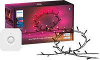 Philips Hue Festavia Lichterkette - 20 Meter + Bewegungssensor