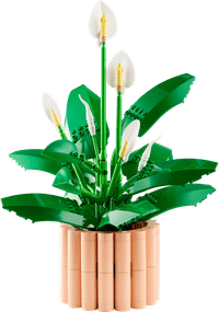 LEGO Botanicals Friedenslilie 11504