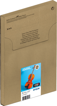Epson Multi-pack 6 Colors 250XL Ink Easymail