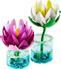 LEGO Botanicals Seerosen 11511