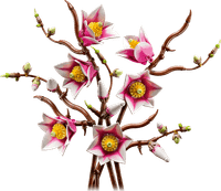 LEGO Botanicals Magnolienzweige 11510