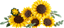 LEGO Botanicals Sonnenblumen 11502 Top 10 der meistverkauften LEGO Botanical Sets