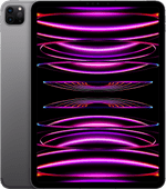 Refurbished iPad Pro (2022) 11 Zoll 256 GB Wi-Fi + 5G Space Grau (Wie neu) Refurbished iPad Pro