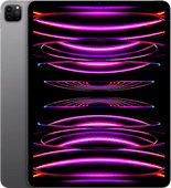 Refurbished iPad Pro (2022) 12,9 Zoll 256 GB Wi-Fi Space Grau (Wie neu) Refurbished iPad Pro