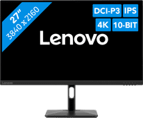 Lenovo N27p Monitor mit VESA Mount