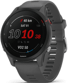 Garmin Forerunner 255 Dunkelgrau Sportuhr