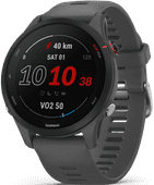 Garmin Forerunner 255 Dark Gray Garmin Forerunner