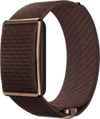 Polar Loop Brown Sports gift