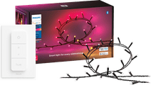 Philips Hue Festavia Lichterkette - 40 Meter - 500 LEDs + Philips Hue Dimmer Smarte Außenbeleuchtung