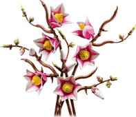 LEGO Botanicals Magnolienzweige 11510 Top 10 der meistverkauften LEGO Botanical Sets