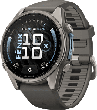 Garmin Fenix 9 Grey 43mm