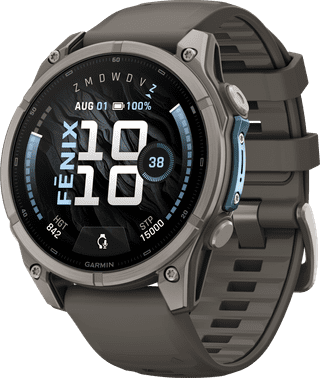 Garmin Fenix 9 Grey 47mm