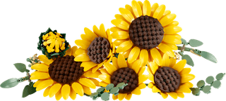 LEGO Botanicals Sonnenblumen 11502