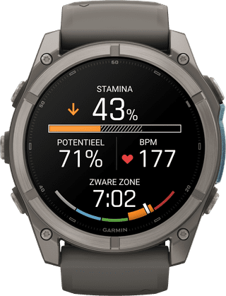 Garmin Fenix 9 Grey 51mm