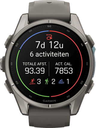 Garmin Fenix 9 Grey 43mm