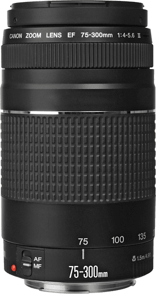 Canon EF 75-300mm f/4.0-5.6 III