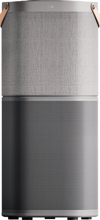 AEG AX91-604GY Light Gray