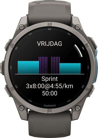 Garmin Fenix 9 Grey 47mm
