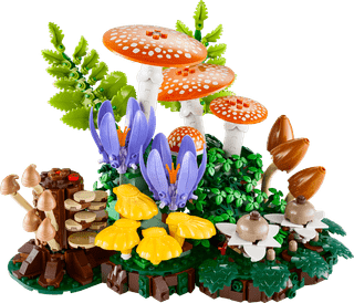 LEGO Botanicals Waldpilze 11505