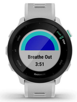 Garmin Forerunner 55 Weiß