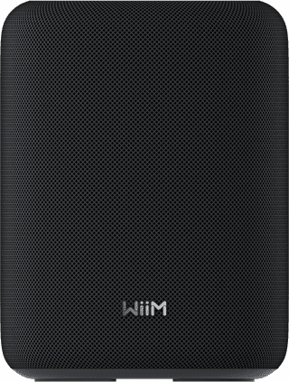 WiiM Sound Lite Black
