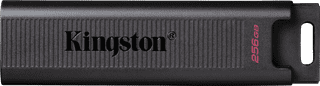 Kingston DataTraveler Max 256 GB
