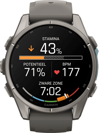 Garmin Fenix 9 Grey 43mm