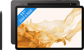 Samsung Galaxy Tab S8 11 inches 256GB WiFi Gray