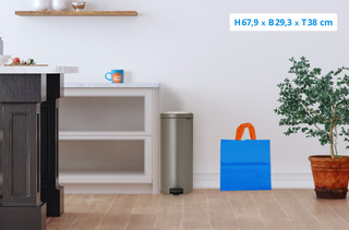 Brabantia NewIcon Treteimer 30 Liter Platinum