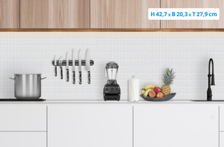 Vitamix Explorian E310