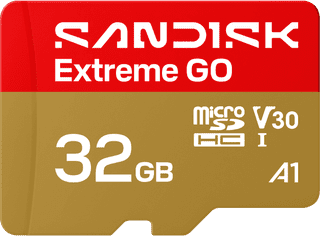SANDISK Extreme GO microSDHC 32GB 100 MB/s
