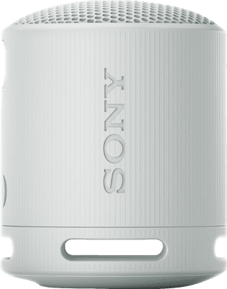 Sony SRS-XB100 Grau
