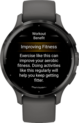 Garmin Venu 3S Black/Gray