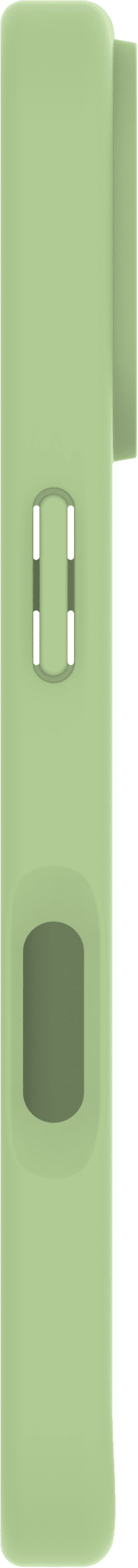 BlueBuilt Protective Backcover mit MagSafe Apple iPhone 17 Grün