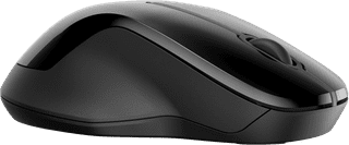 HP 250 Dual Wireless Mouse