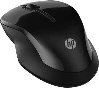 HP 250 Dual Wireless Mouse