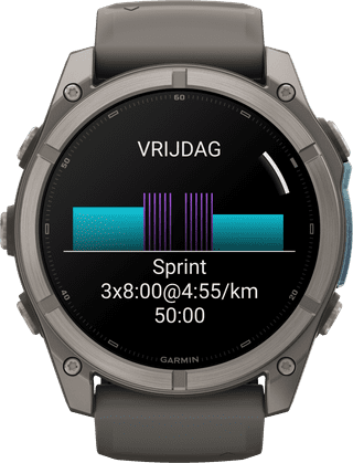 Garmin Fenix 9 Grey 51mm