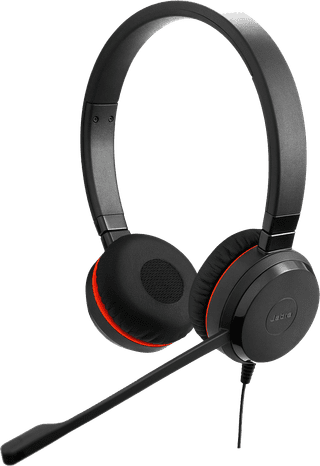 Jabra Evolve 20 - MS Stereo SE Office-Headset