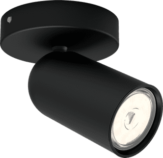 Philips Pongee Aufbauspot - 1 Spot - Schwarz