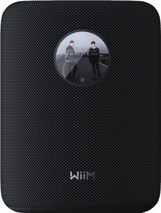 WiiM Sound Black